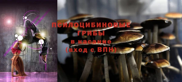 альфа пвп Семикаракорск