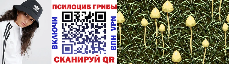 Галлюциногенные грибы ЛСД  что такое   Бобров 